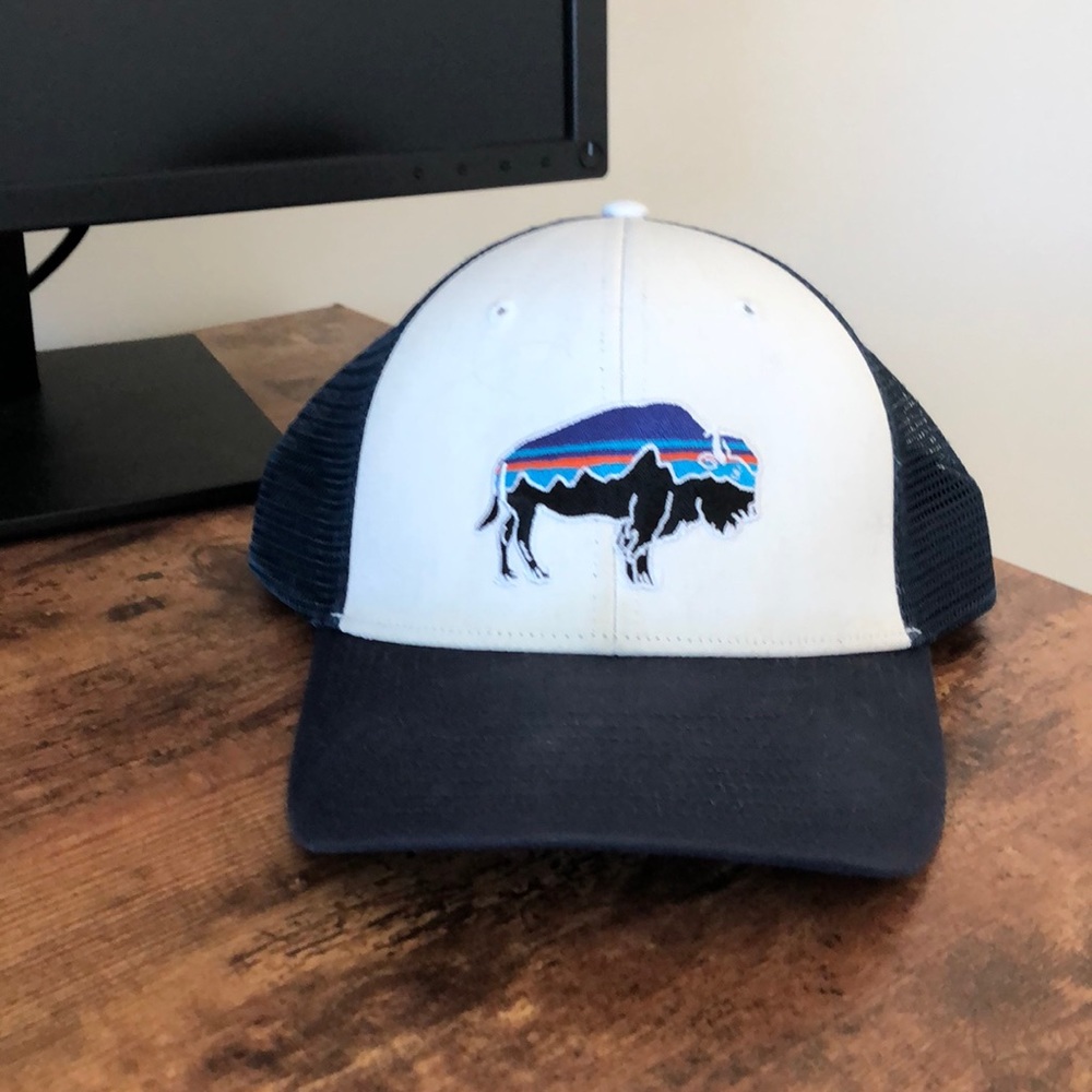 Men’s blue and white Patagonia Hat